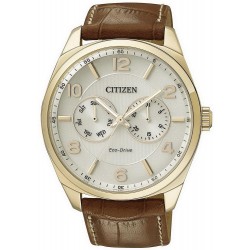 Comprar Reloj Hombre Citizen Metropolitan Eco-Drive AO9024-16A Multifunción
