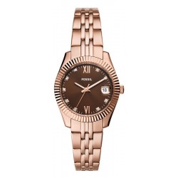 Image de la Montre Femme Acier - Fossil Scarlette Mini - ES5324