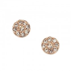 Acheter Boucles d'Oreilles Femme Fossil Vintage Glitz JF00830791