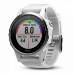 Acquistare Orologio Unisex Garmin Fēnix 5S 010-01685-00 GPS Smartwatch Multisport