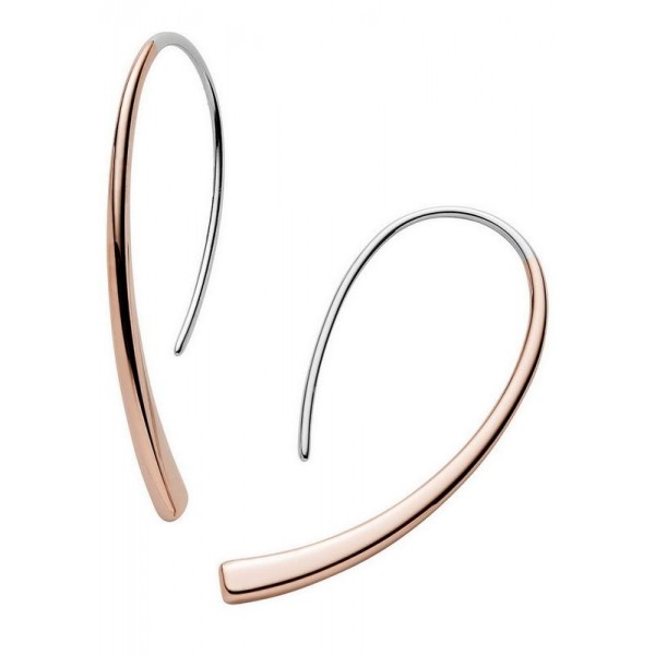 Acquistare Orecchini Donna Skagen Elin SKJ1212998